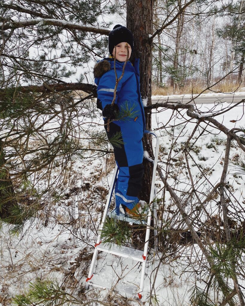 Small ladder is needed for installing the birdhouse at the right height