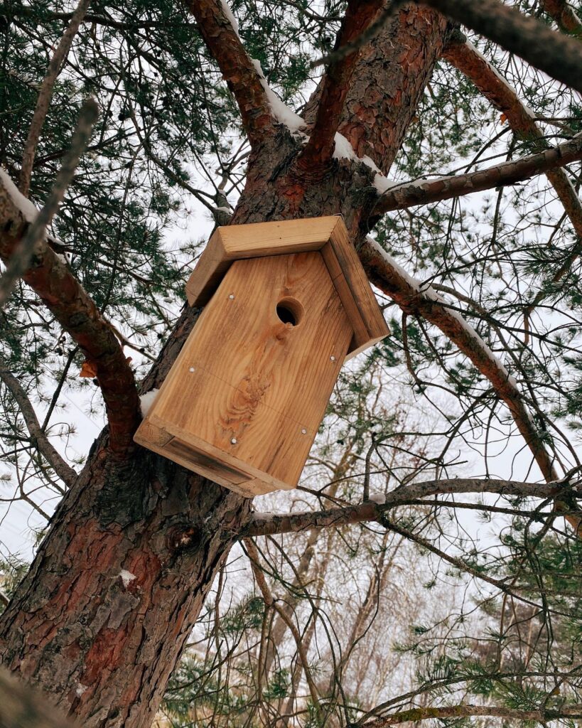 Birdhouse wich is very easy to attach to your house, shed or a tree