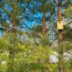 Birdhouse wich is very easy to attach to your house, shed or a tree