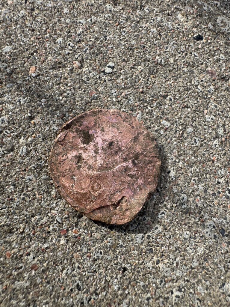The 5 euro cent coin is composed of copper-covered steel.