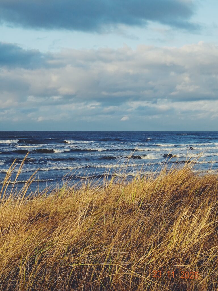 Vääna-Jõesuu beach