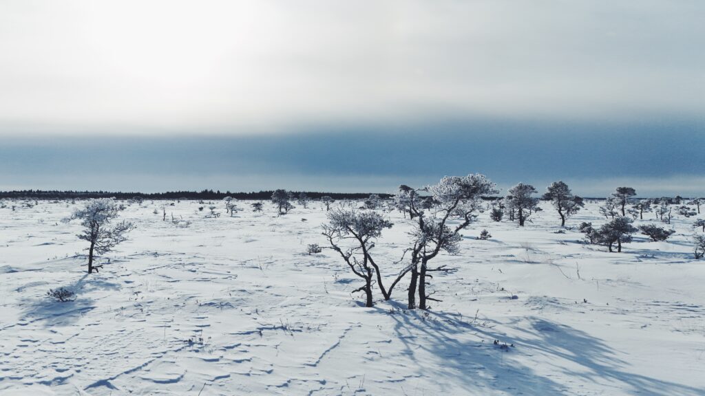 Marimetsa hiking trail
