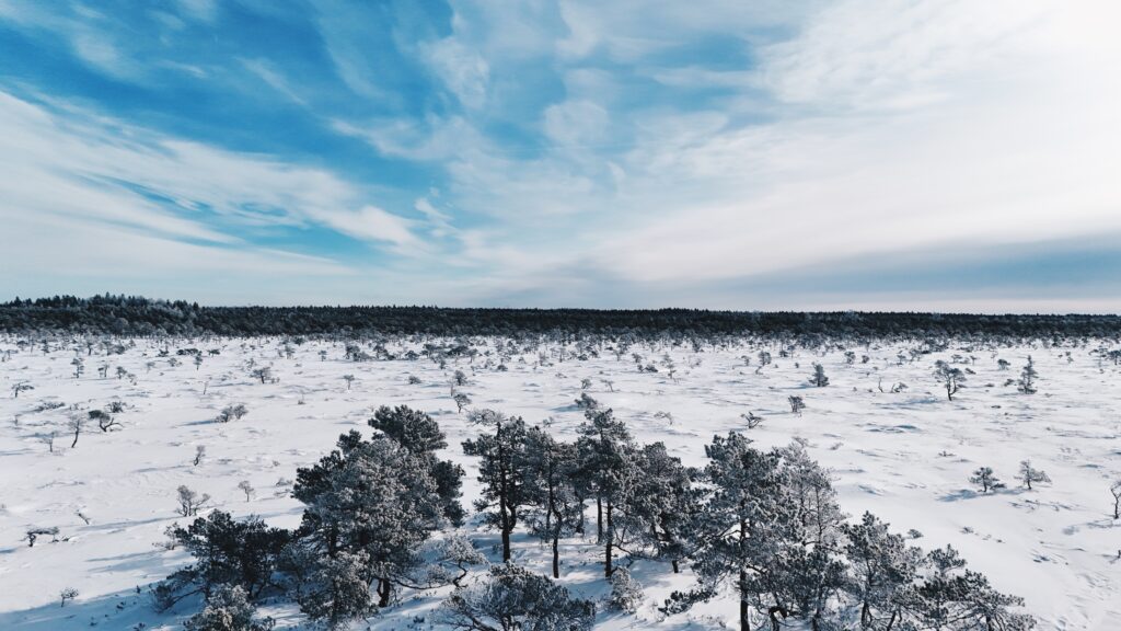 Marimetsa hiking trail