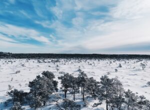 Marimetsa hiking trail