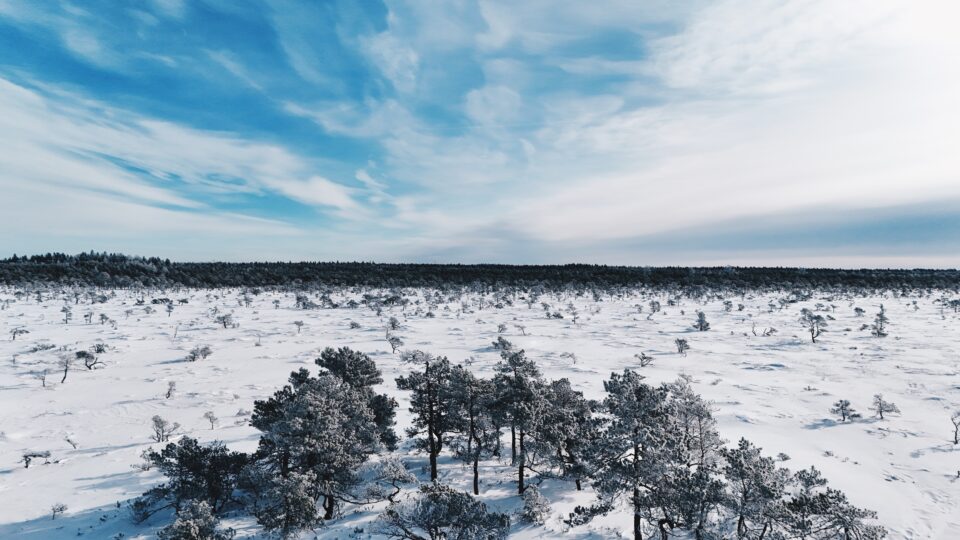 Marimetsa hiking trail