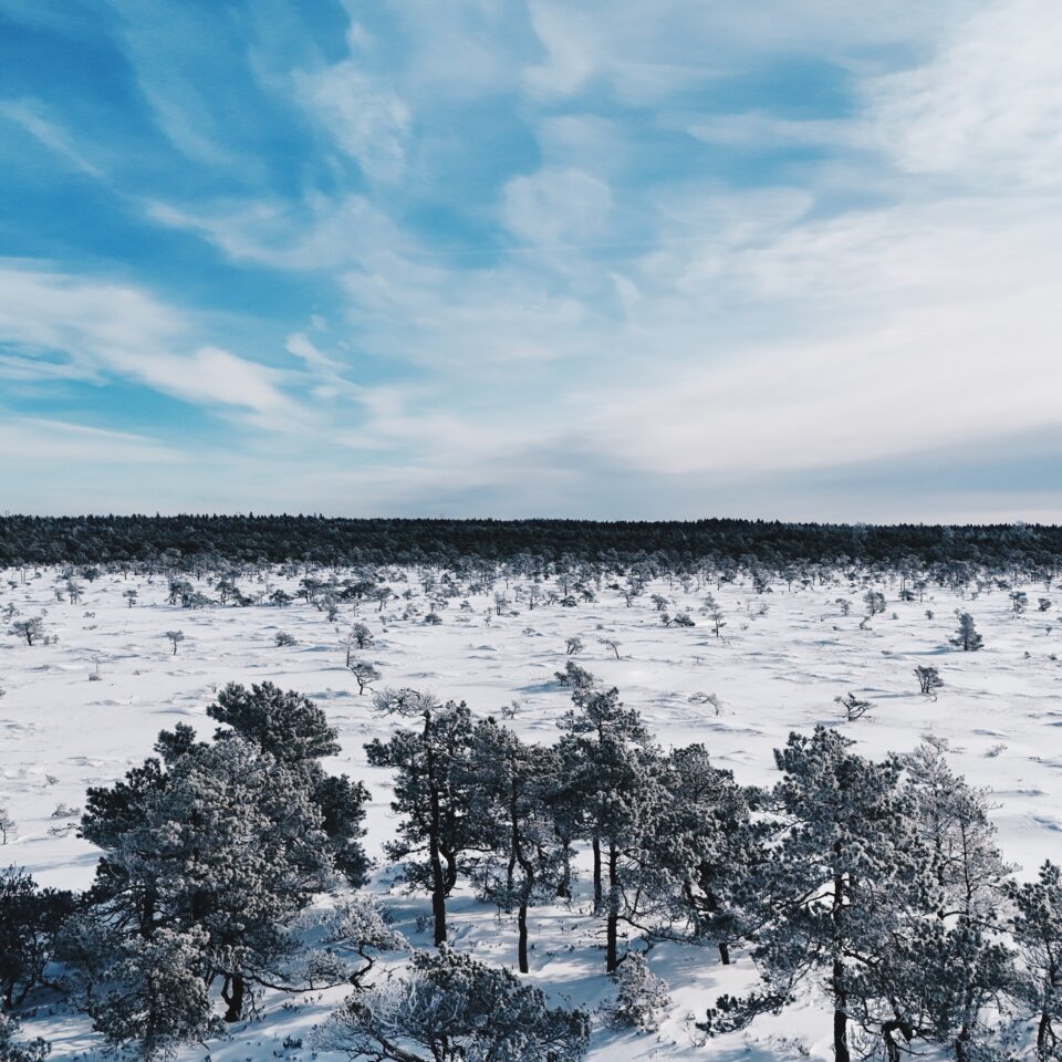 Marimetsa hiking trail