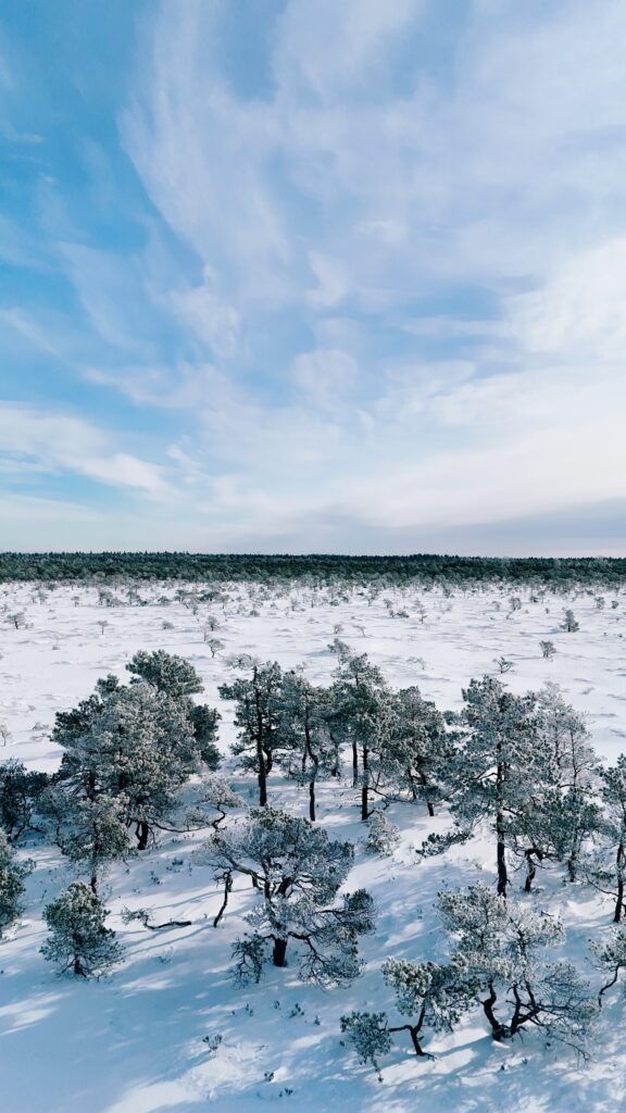 Marimetsa hiking trail