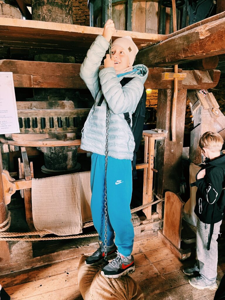 JakSam flies in the Seidla Manor windmill